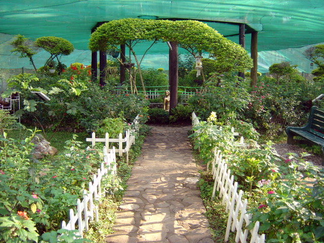 Little Mermaid Garden & Butterfly Sanctuary