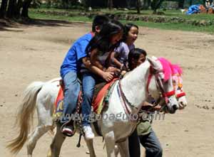 Horseback Riding at Wright Park, Baguio City