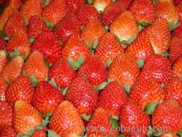 Strawberries, Baguio Philippines