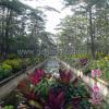 Pool of the Pines at Wright Park across The Mansion