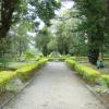 Read a book at Igorot Garden in Camp John Hay